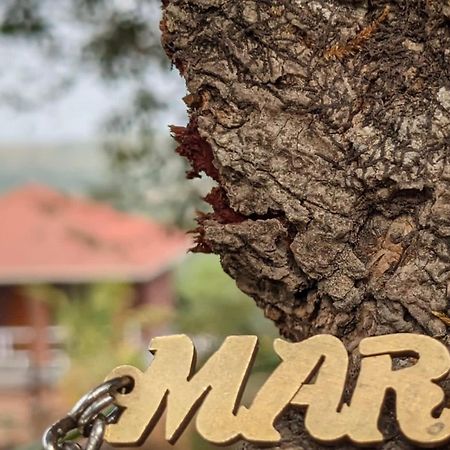 Mars Jungle Adventure Stud Farm With Private Jacuzzi Βίλα Narsinge Εξωτερικό φωτογραφία