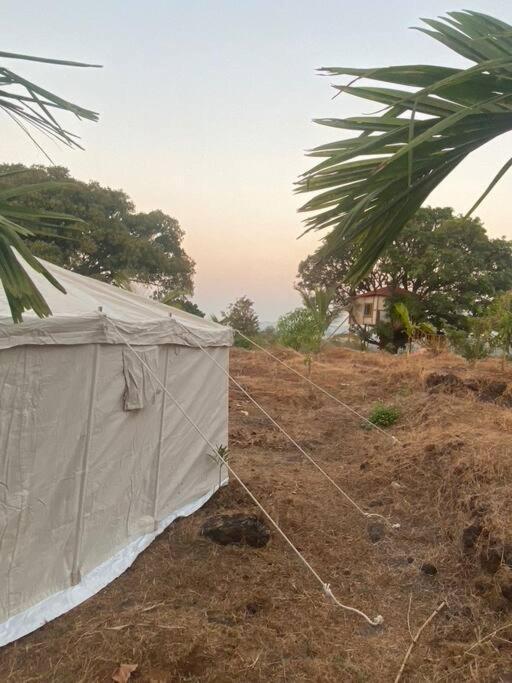 Mars Jungle Adventure Stud Farm With Private Jacuzzi Βίλα Narsinge Δωμάτιο φωτογραφία