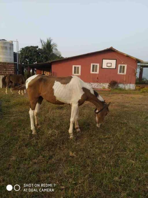 Mars Jungle Adventure Stud Farm With Private Jacuzzi Βίλα Narsinge Εξωτερικό φωτογραφία